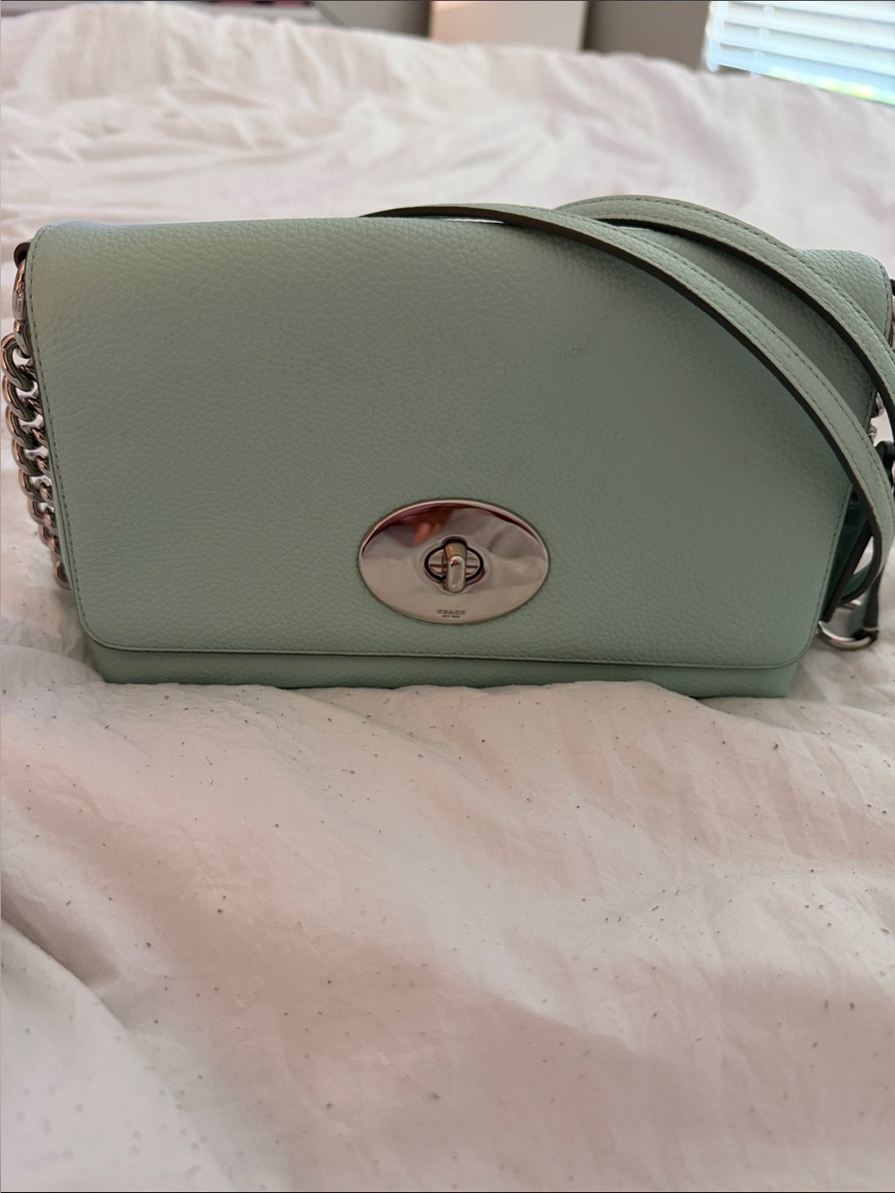 COACH Mint Leather Crossbody Bag with Silver Hardware